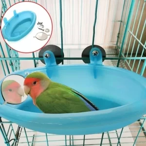 Banho Espelhado do Pássaros